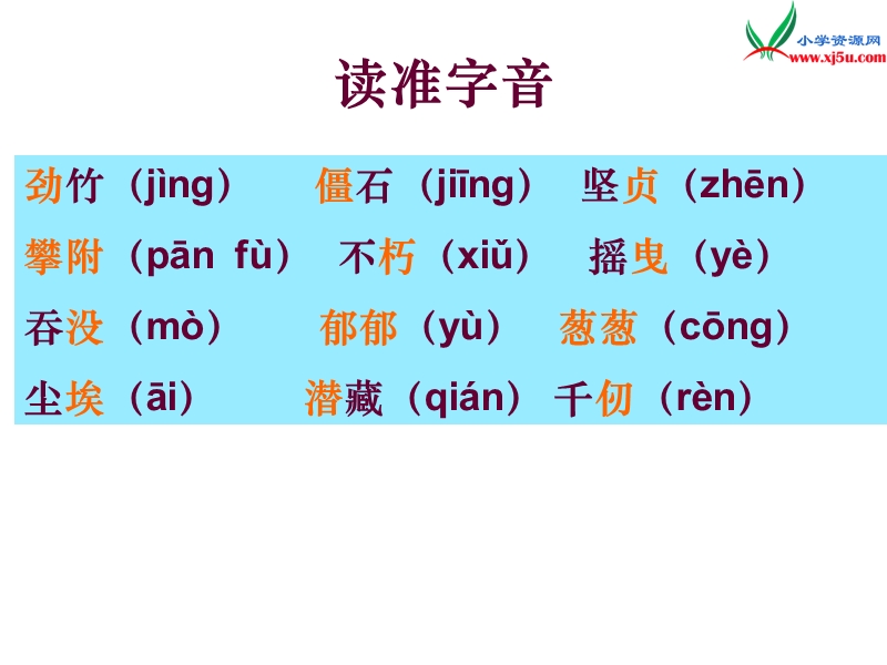 （北师大版）语文六年级上册第八单元 竹颂.ppt_第3页