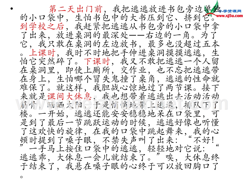 2016秋（沪教版）三年级语文上册《护蛋的故事》课件1.ppt_第3页