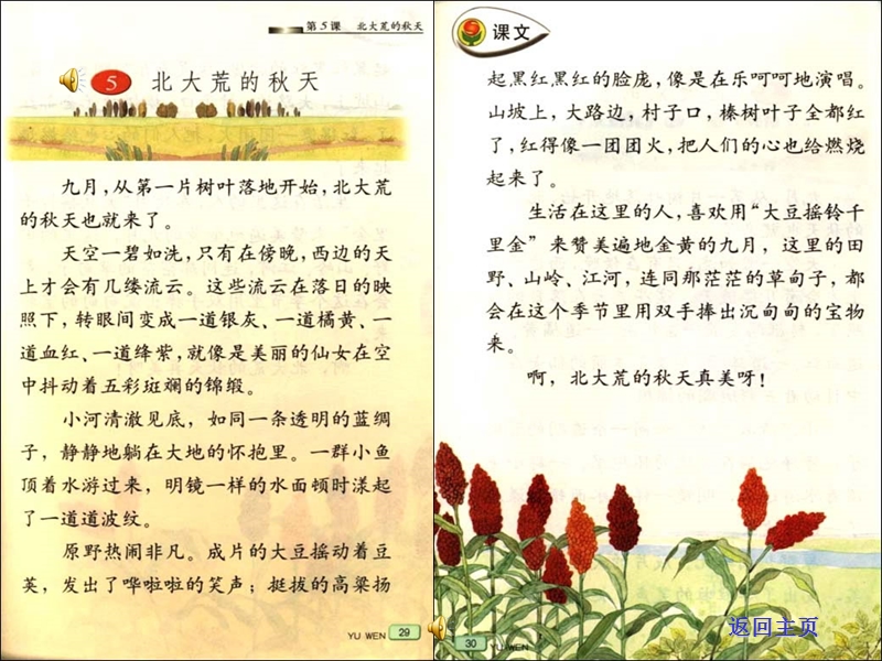 （苏教版） 三年级语文上册  《北大荒的秋天》 ppt课件.ppt_第2页