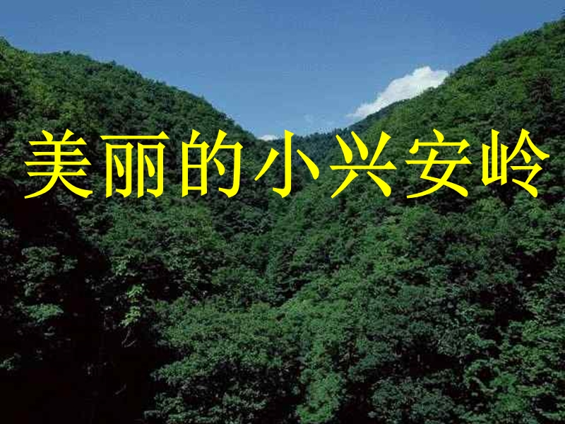 2017年（人教版）三年级上册语文23 美丽的小兴安岭 课堂教学课件2.ppt_第1页