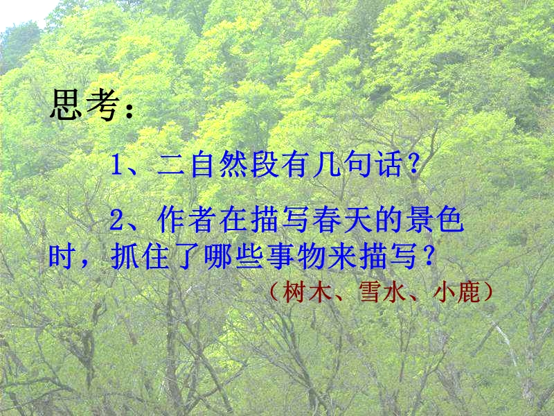 2017年（人教版）三年级上册语文23 美丽的小兴安岭 课堂教学课件2.ppt_第3页