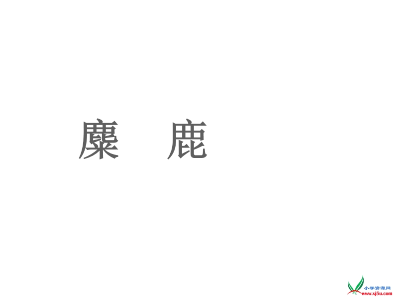 （苏教版） 六年级语文上册  《麋鹿》 ppt课件.ppt_第1页