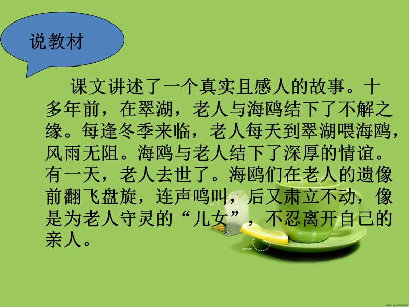 2017年（人教版）六年级上册语文21老人与海鸥 课堂教学课件3.ppt_第3页