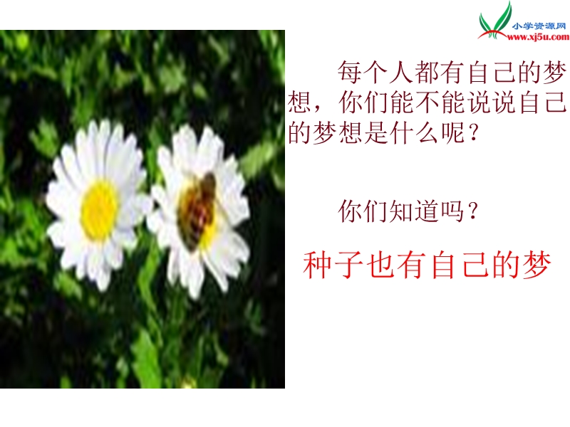 （北师大版）五年级下语文课件-种子的梦.ppt_第2页