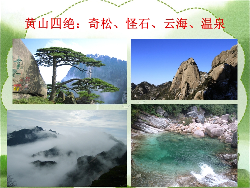 （北师大版） 六年级语文上册 课件 黄山松.ppt_第2页