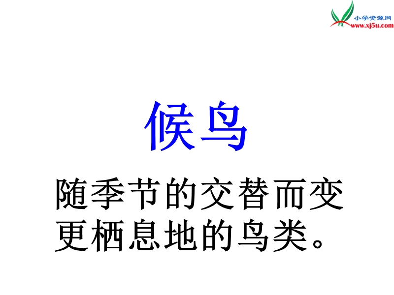 （北京版）2015春四年级语文下册《天鹅的故事》课件3.ppt_第2页