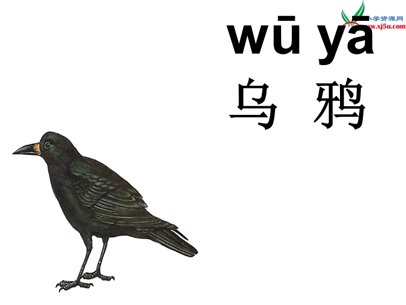 2017年（人教版）一年级下册语文19乌鸦喝水ppt课件3.ppt_第1页