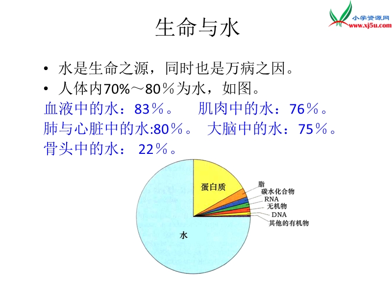 （北师大版）五年级上册6.1《生命与水》.ppt_第3页