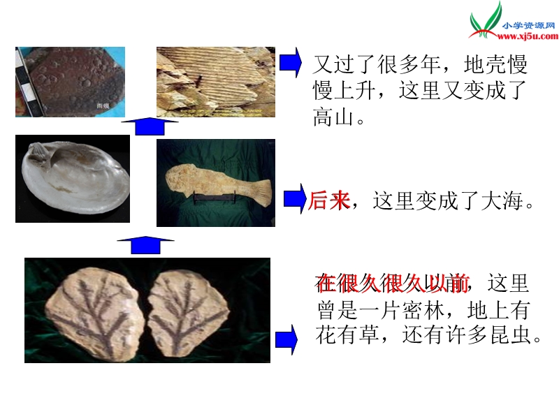 小学（苏教版）语文三年级上册第六单元 石头书.ppt_第3页