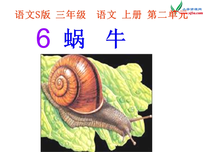 小学（语文s版）语文三年级上册课件6《蜗牛》ppt课件2.ppt_第2页