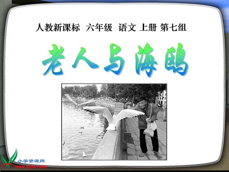 2017年（人教版）六年级上册语文21老人与海鸥 课堂教学课件1.ppt_第3页