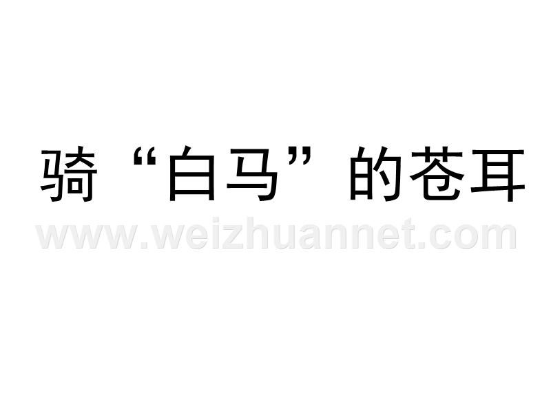 2016（西师大版）二年级语文下册 第六单元《骑“白马”的苍耳》课件1.ppt_第2页