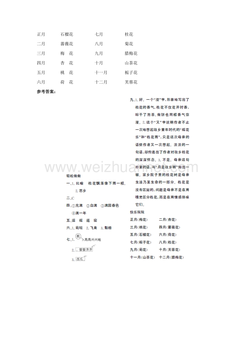 （人教新课标）五年级语文上册第2单元7《桂花雨》课时练习（2）.doc_第3页