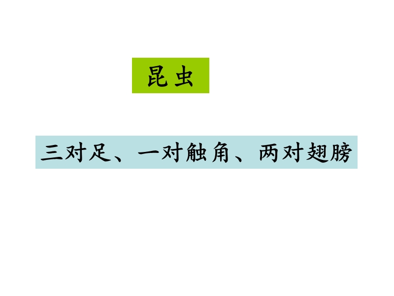 2018年（北京课改版）二年级下册语文18《达尔文的发现》 (1).ppt_第3页