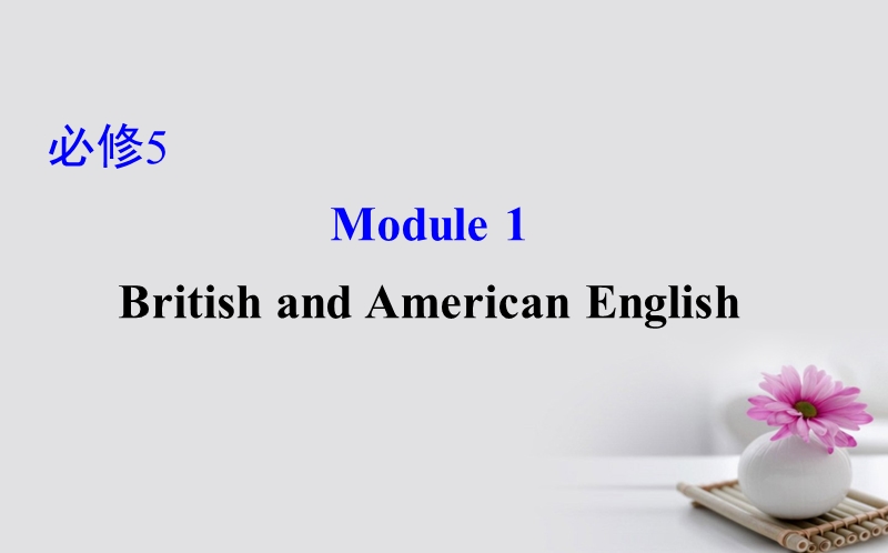 2018年高考英语一轮复习 module 1 deep south british and american english课件 外研版必修5.ppt_第1页