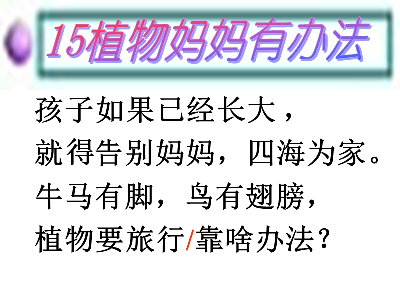 （语文s版）语文二年级上册15植物妈妈有办法ppt课件.ppt_第2页