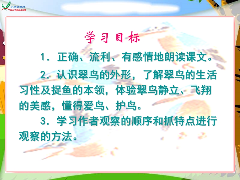 （北师大版）三年级语文上册 6.鸟儿 《翠鸟》.ppt_第3页