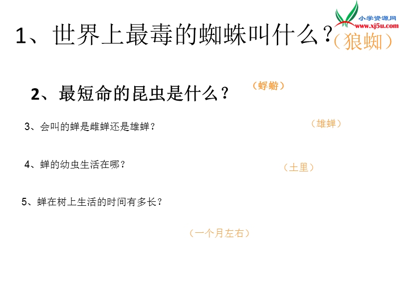 （西师大版）语文四年级上册8金蝉脱壳ppt课件.ppt_第2页