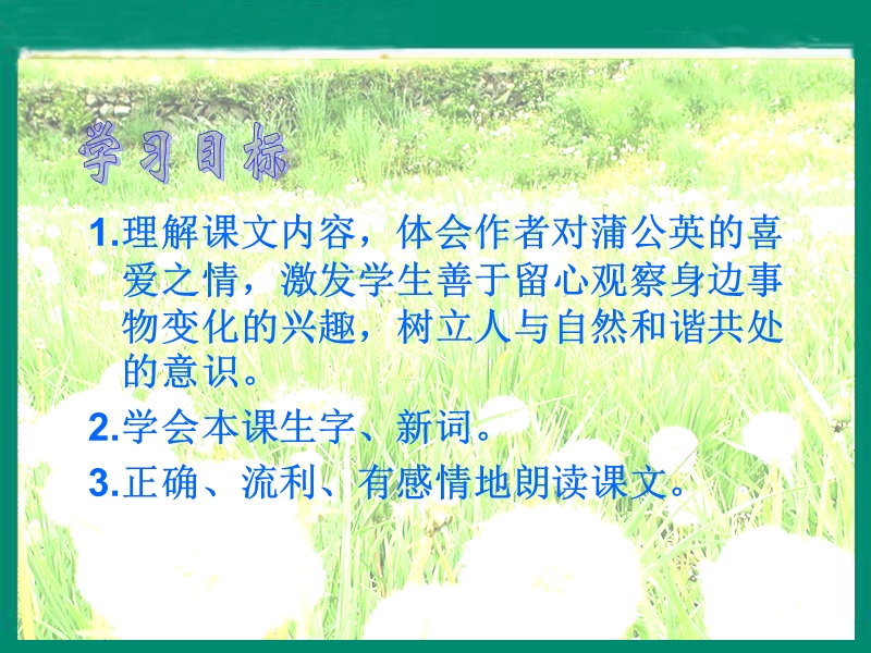 （北师大版）三年级语文上册 1.色彩 《 金色的草地》ppt课件.ppt_第2页