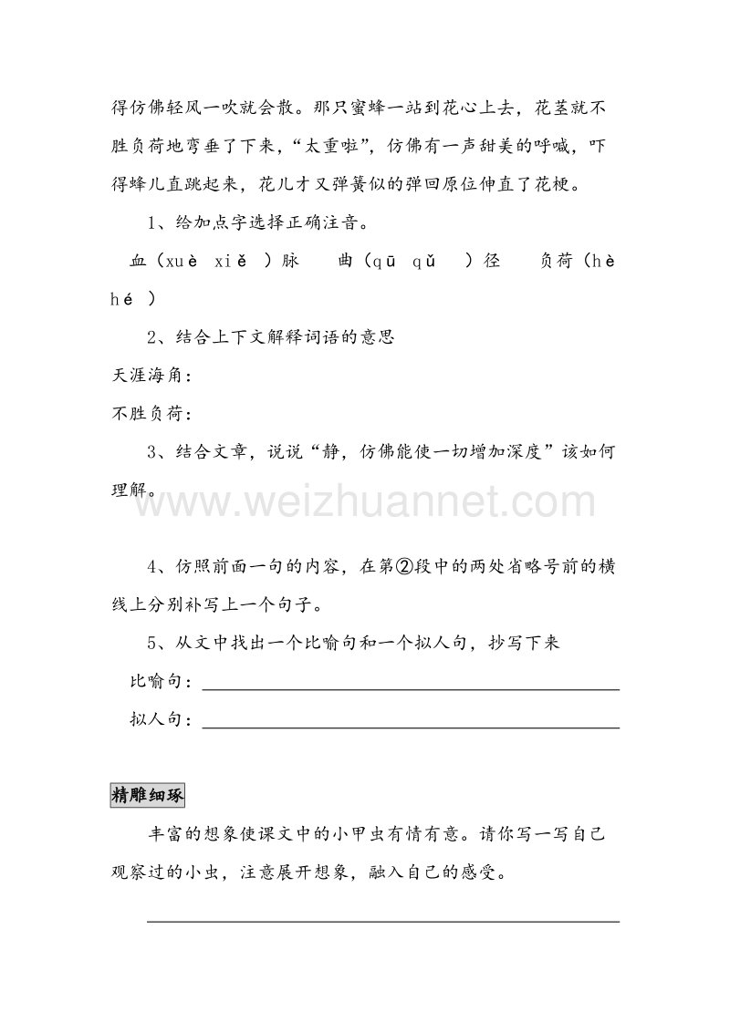 (人教新课标)六年级语文上册同步练习 草虫的村落2（无答案）.doc_第3页