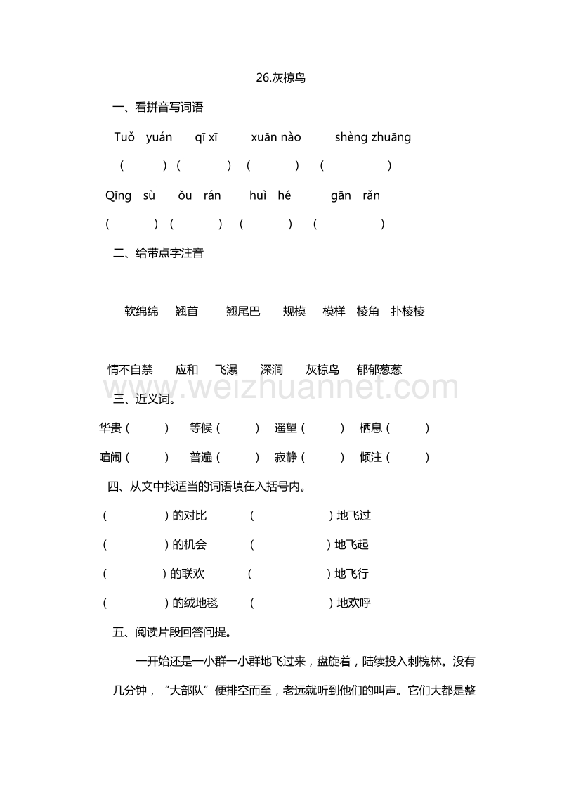 2016年五年级下册语文课课练：26.灰椋鸟（苏教版）.doc_第1页