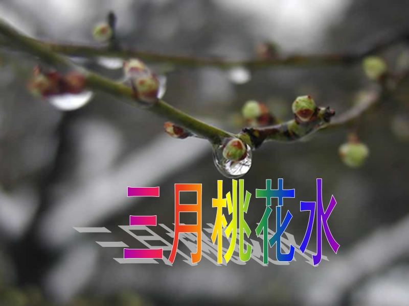 （西师大版）三年级下语文课件3 三月桃花水.ppt_第1页