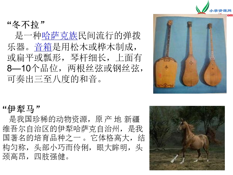 （北师大版）2016秋五年级语文上册《马背小学》课件1.ppt_第2页