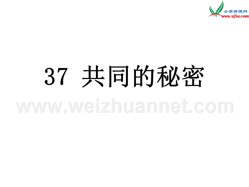 （沪教版）四年级语文下册 第8单元 37《共同的秘密》课件2.ppt_第1页