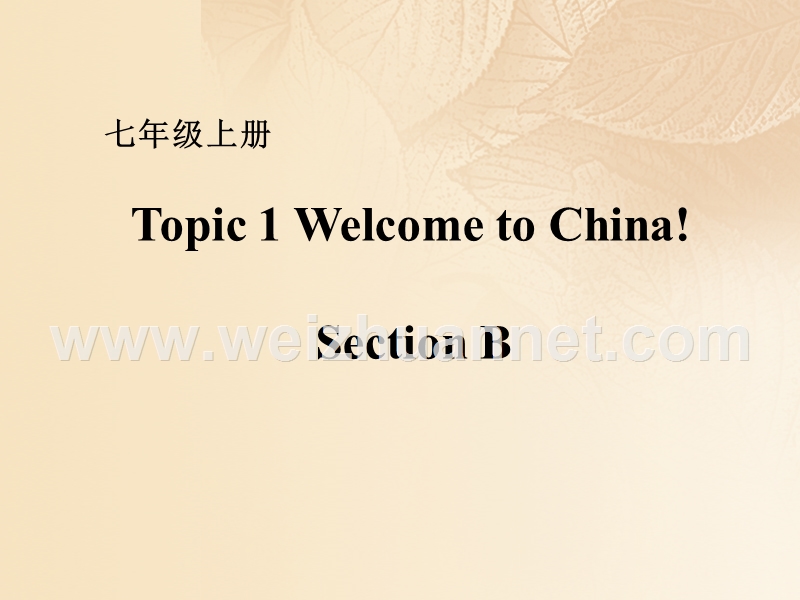 七年级英语上册 unit 1 making new friends topic 1 welcome to china section b课件 （新版）仁爱版.ppt_第1页