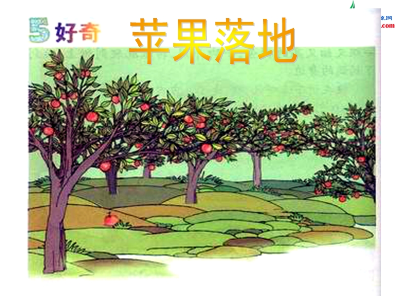 （北师大版）2016秋二年级语文上册《苹果落地》课件1.ppt_第3页