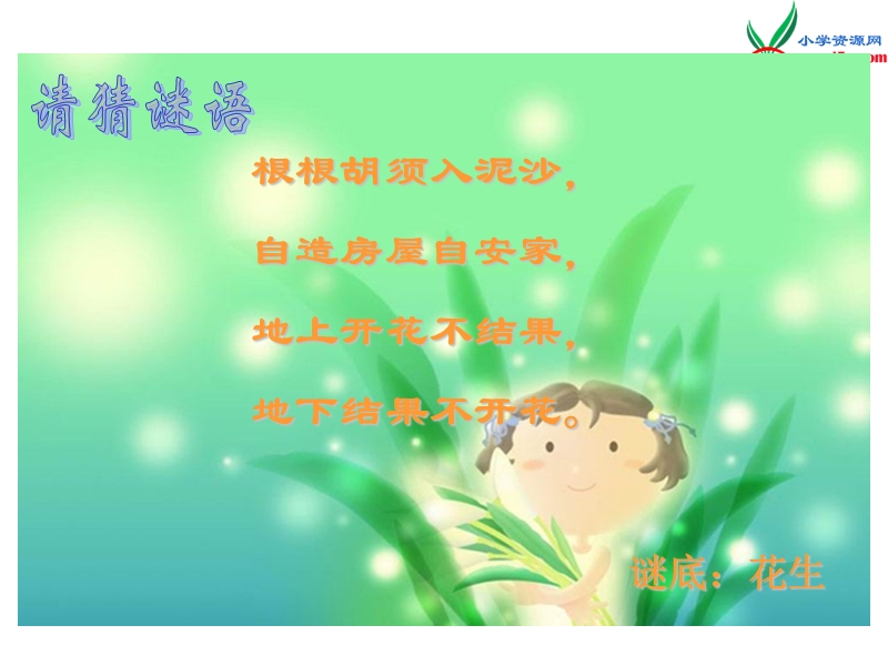 （北师大版）2016秋四年级语文上册《落花生》课件1.ppt_第1页