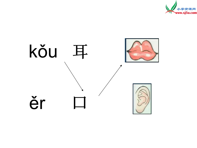 （北京课改版）一年级上语文教案-口耳目舌北.ppt_第3页