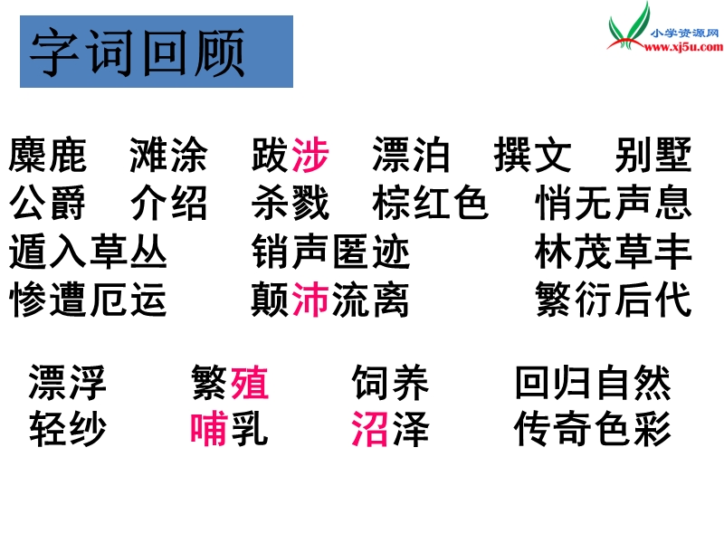 （苏教版）语文六年级上册17麋鹿ppt课件.ppt_第2页