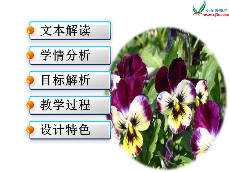 （北京课改版）三年级下语文说课课件-小蝴蝶花.ppt_第2页