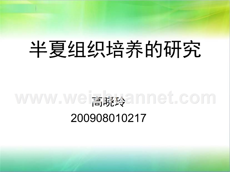 半夏组织培养的意义.ppt_第1页