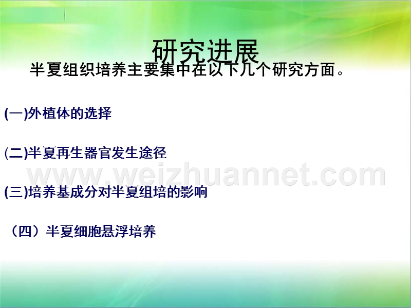 半夏组织培养的意义.ppt_第3页