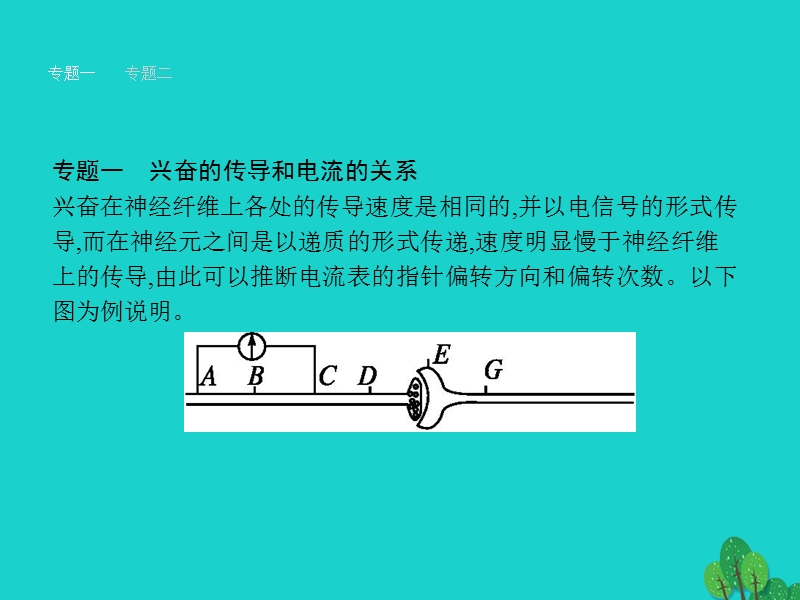 2017年高中生物第2章动物和人体生命活动的调节章末整合提升课件新人教版必修3.ppt_第3页