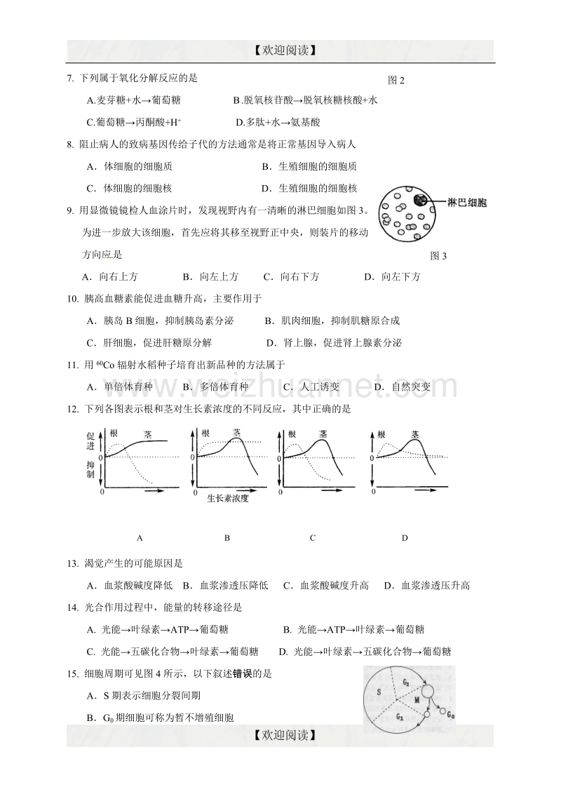 上海市长宁、嘉定区2017届高三上学期期末质量调研（一模）生命科学试题.doc_第2页