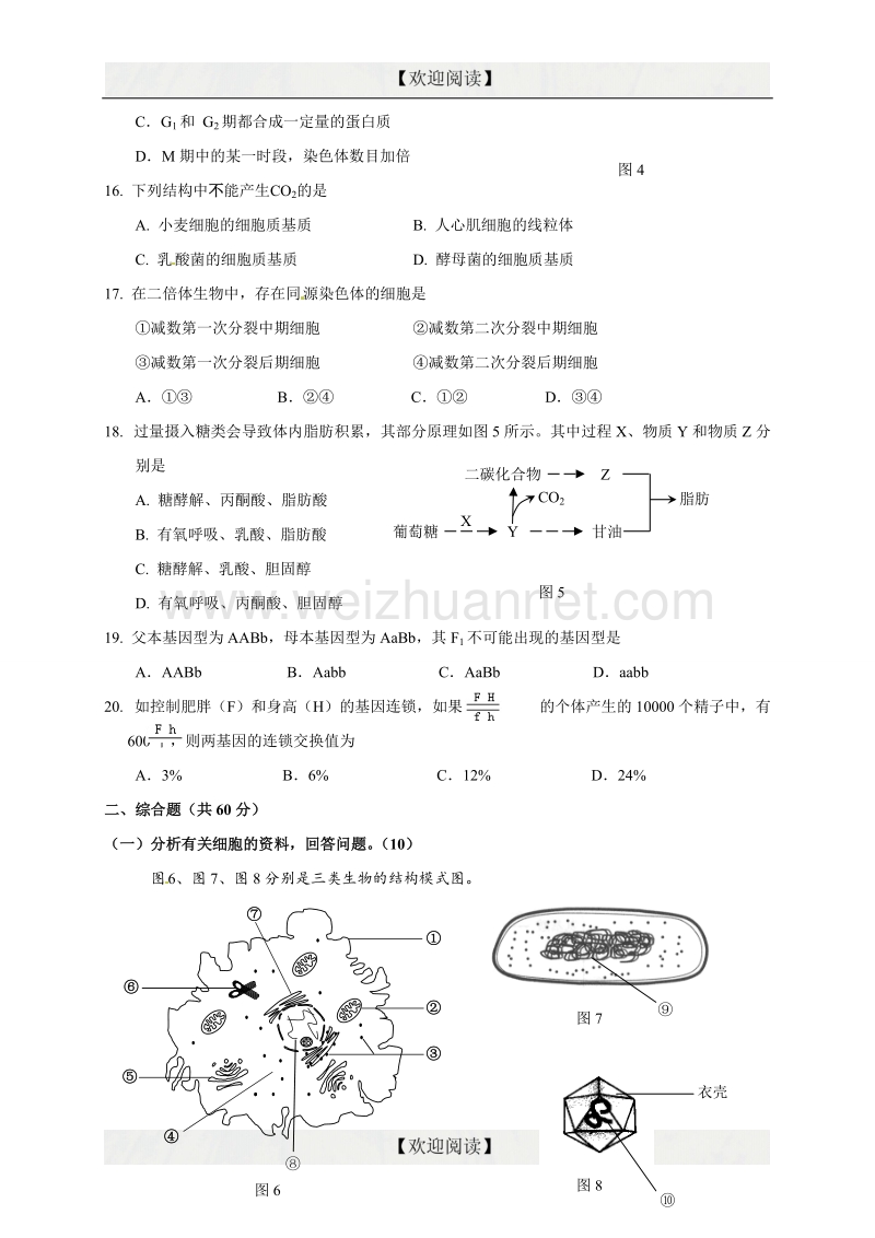 上海市长宁、嘉定区2017届高三上学期期末质量调研（一模）生命科学试题.doc_第3页