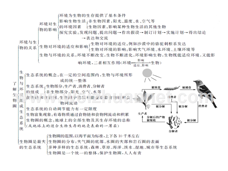 2016中考精英总复习生物习题课件第二章了解生物圈.ppt.ppt_第3页