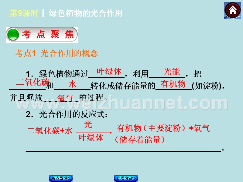 2014中考生物复习方案-绿色植物的光合作用(考点聚焦+专项突破-含2013试题)课件-新人教版.ppt_第2页