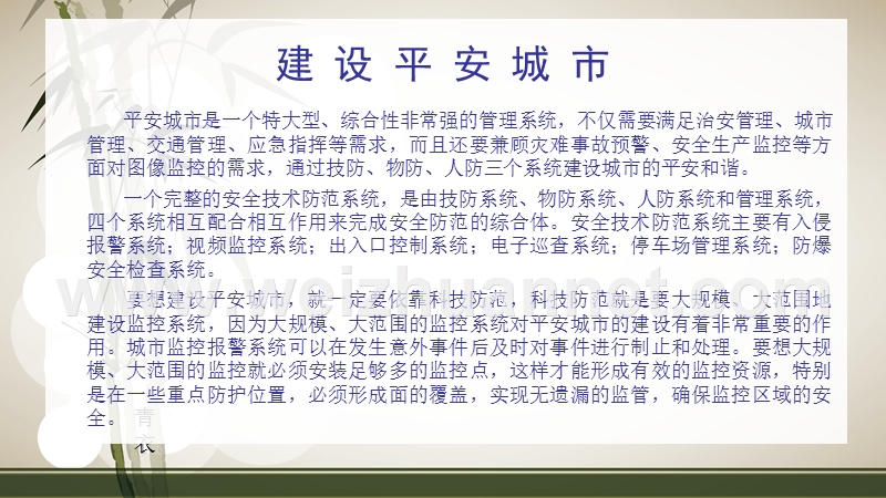 加油站安全防范系统方案.ppt_第2页