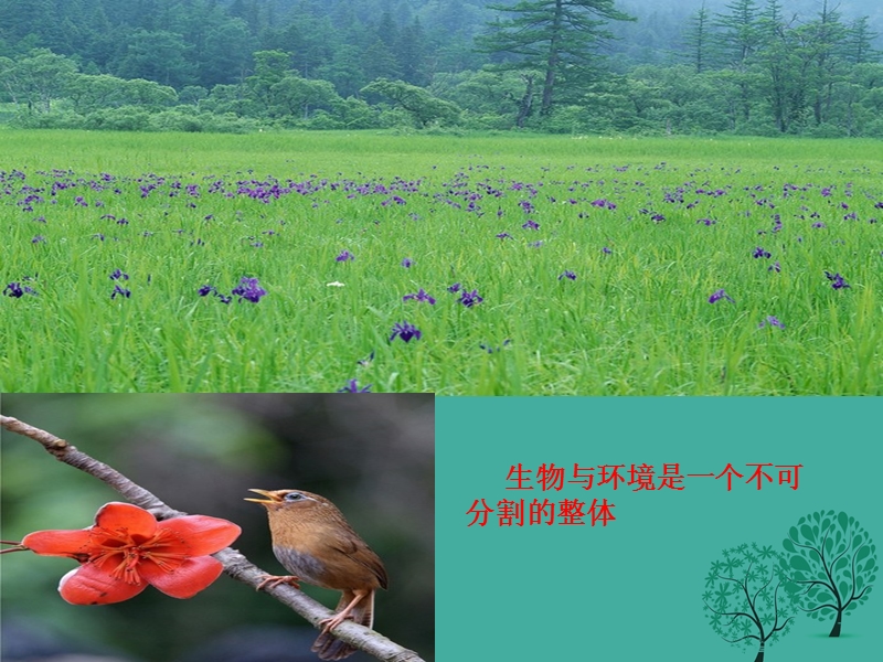 七年级生物上册 第一单元 第二章 第二节 生物与环境组成生态系统课件1 （新版）新人教版.ppt_第2页