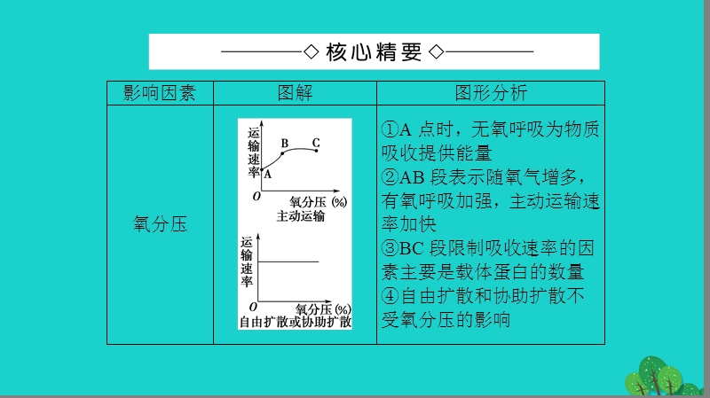 2017年高中生物第4章细胞的物质输入和输出外界因素对物质跨膜运输影响的曲线分析微专题突破课件新人教版必修1.ppt_第2页