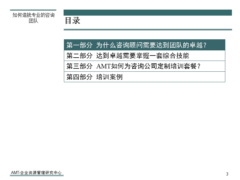 咨询公司员工培训-如何造就卓越的咨询团队(amt).ppt_第3页