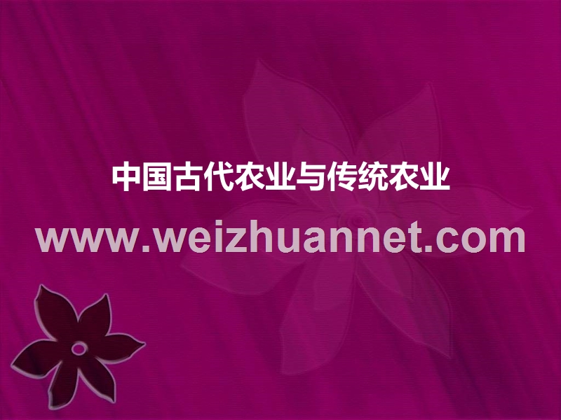 中国古代农业与传统农业.ppt_第1页