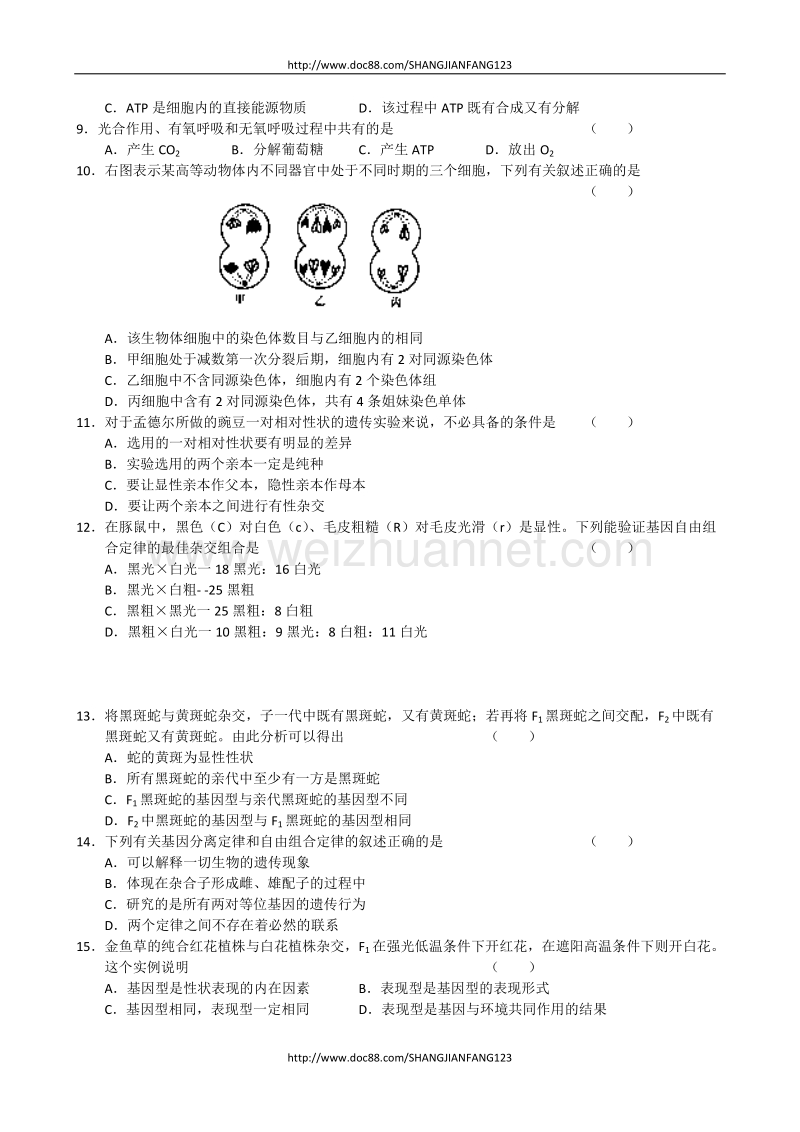 北京市东城qu2011届上学期高三期末统一检测(生物).doc_第2页