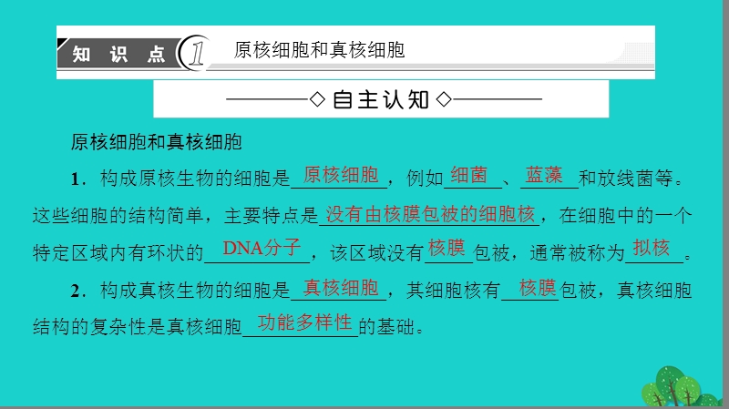 2017年高中生物第3章细胞的结构和功能第2节细胞的类型和结构（第1课时）原核细胞和真核细胞细胞膜和细胞壁课件苏教版必修1.ppt_第3页