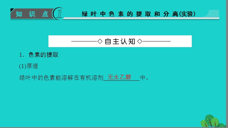 2017年高中生物第5章细胞的能量供应和利用第4节能量之源——光与光合作用（第1课时）捕获光能的色素和结构课件新人教版必修1.ppt_第3页