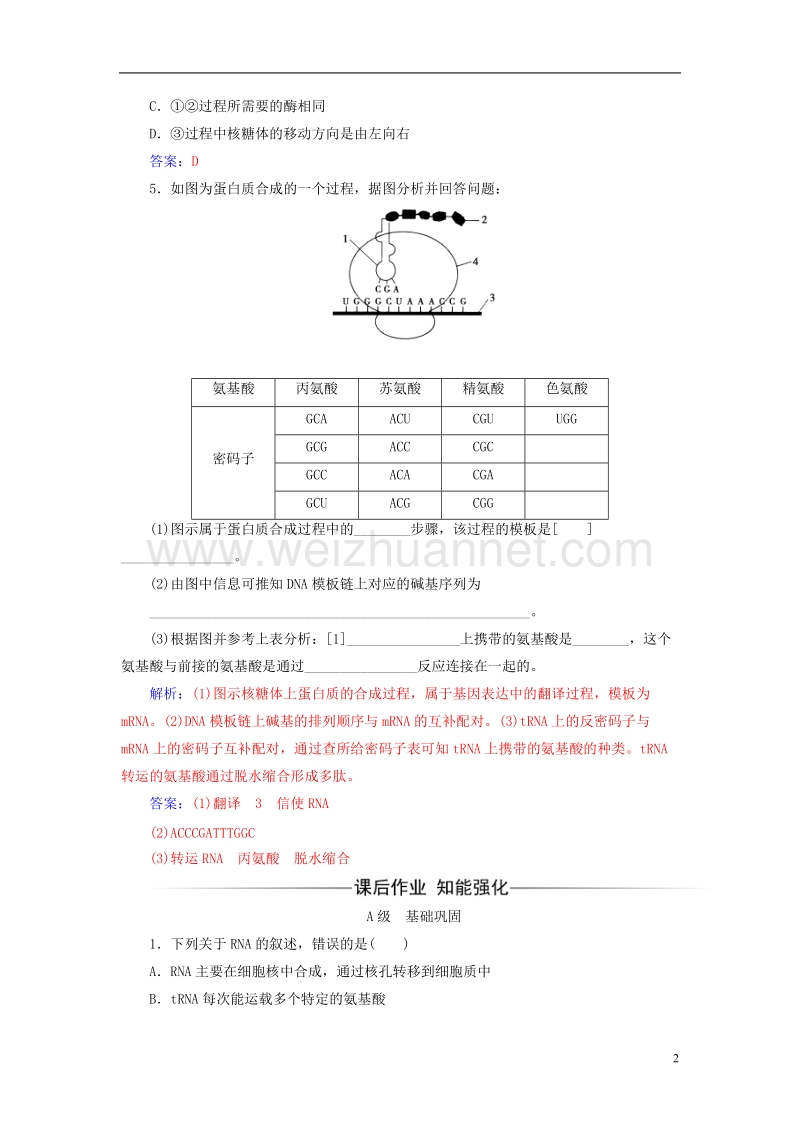 2017年高中生物第4章基因的表达第1节基因指导蛋白质的合成检测试题新人教版必修2.doc_第2页